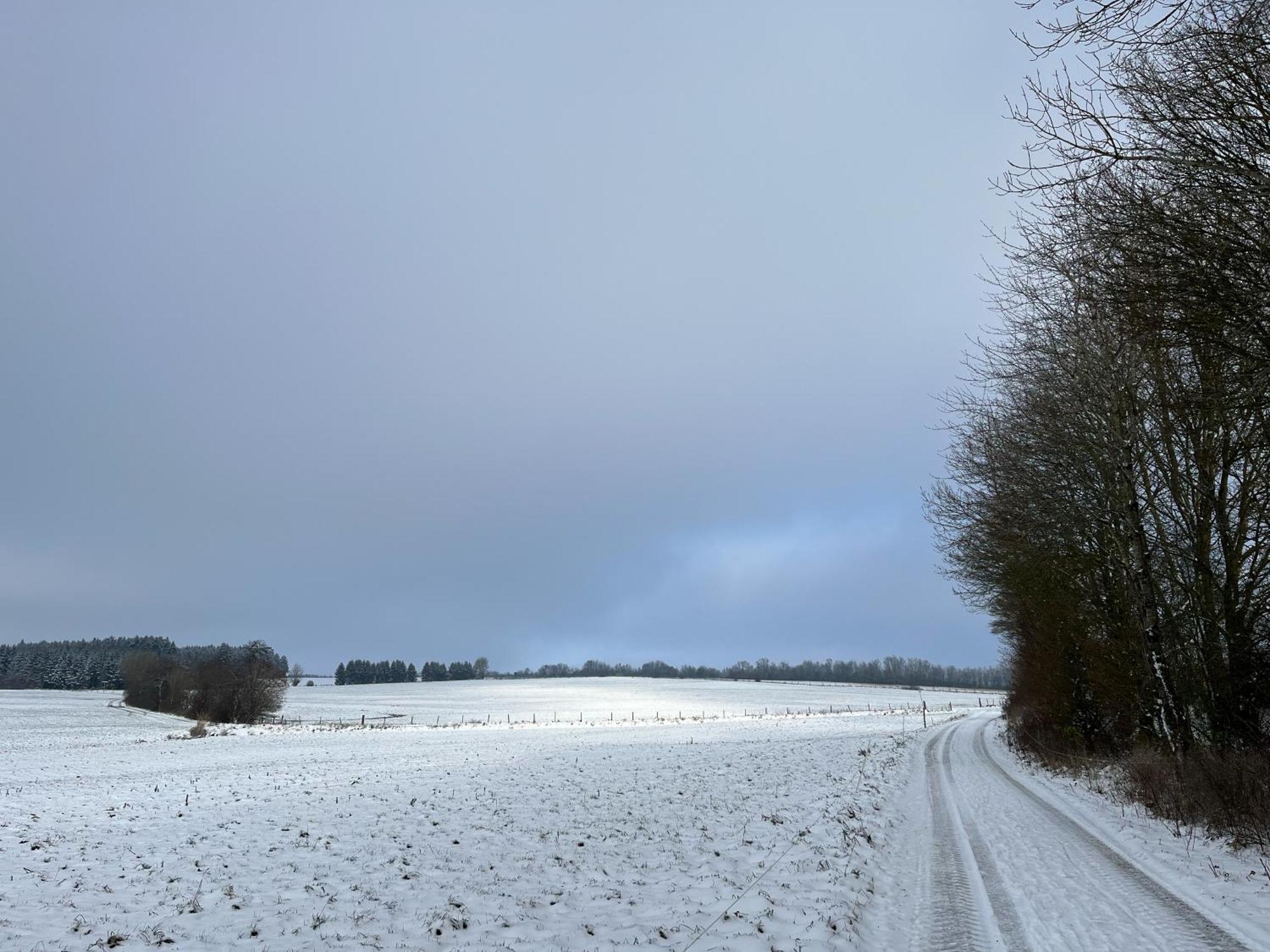 House With A View - Modernes Ferienhaus In Der Eifel Villa Antweiler Exterior photo